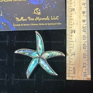 Starfish Abalone Brooch